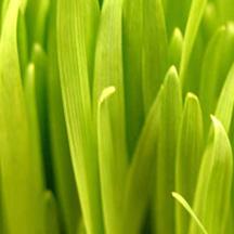 在线电话轰炸工具