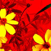 加特林短信测压